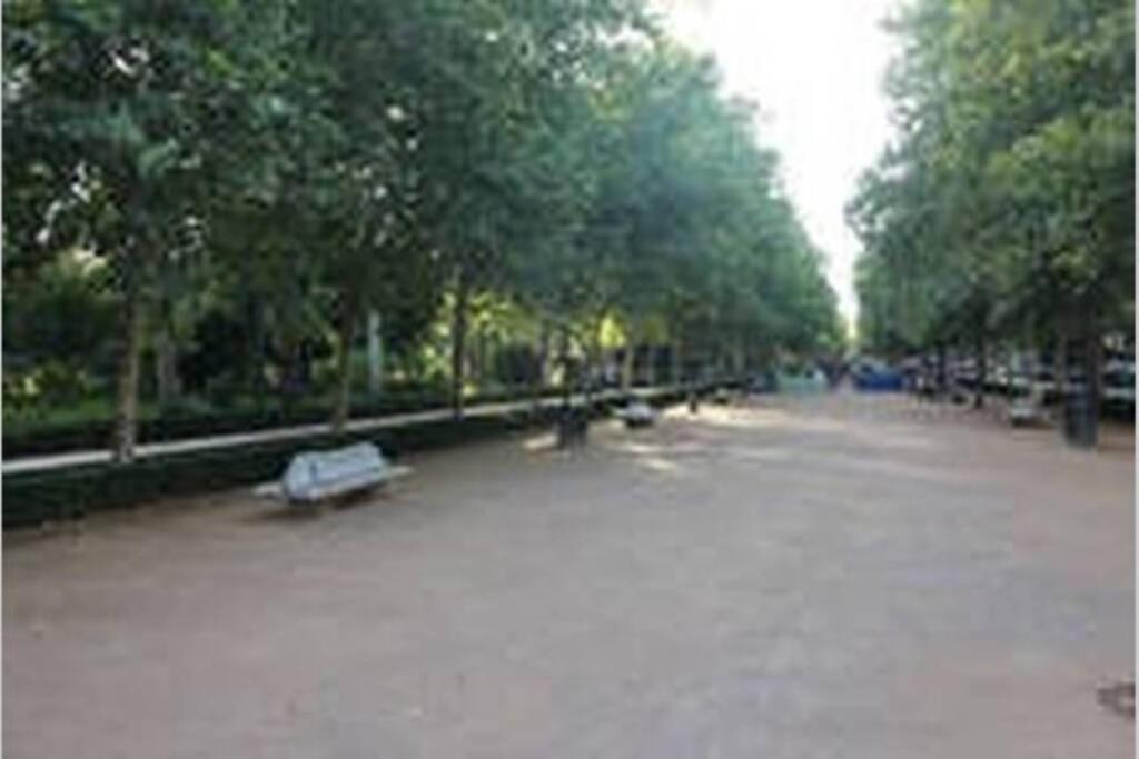 Appartamento Bonito Apartamento Junto A Paseo De La Bomba Granada Esterno foto
